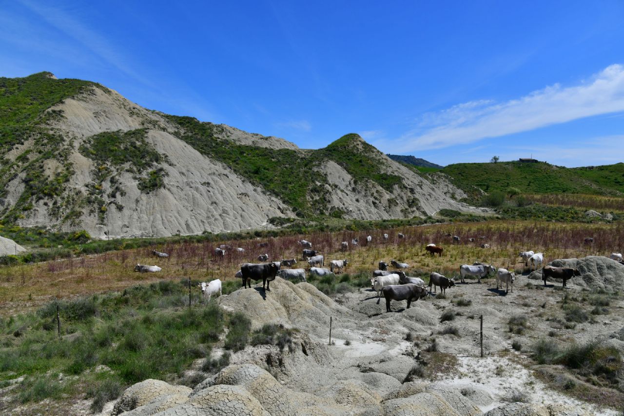 Calanchi lucani